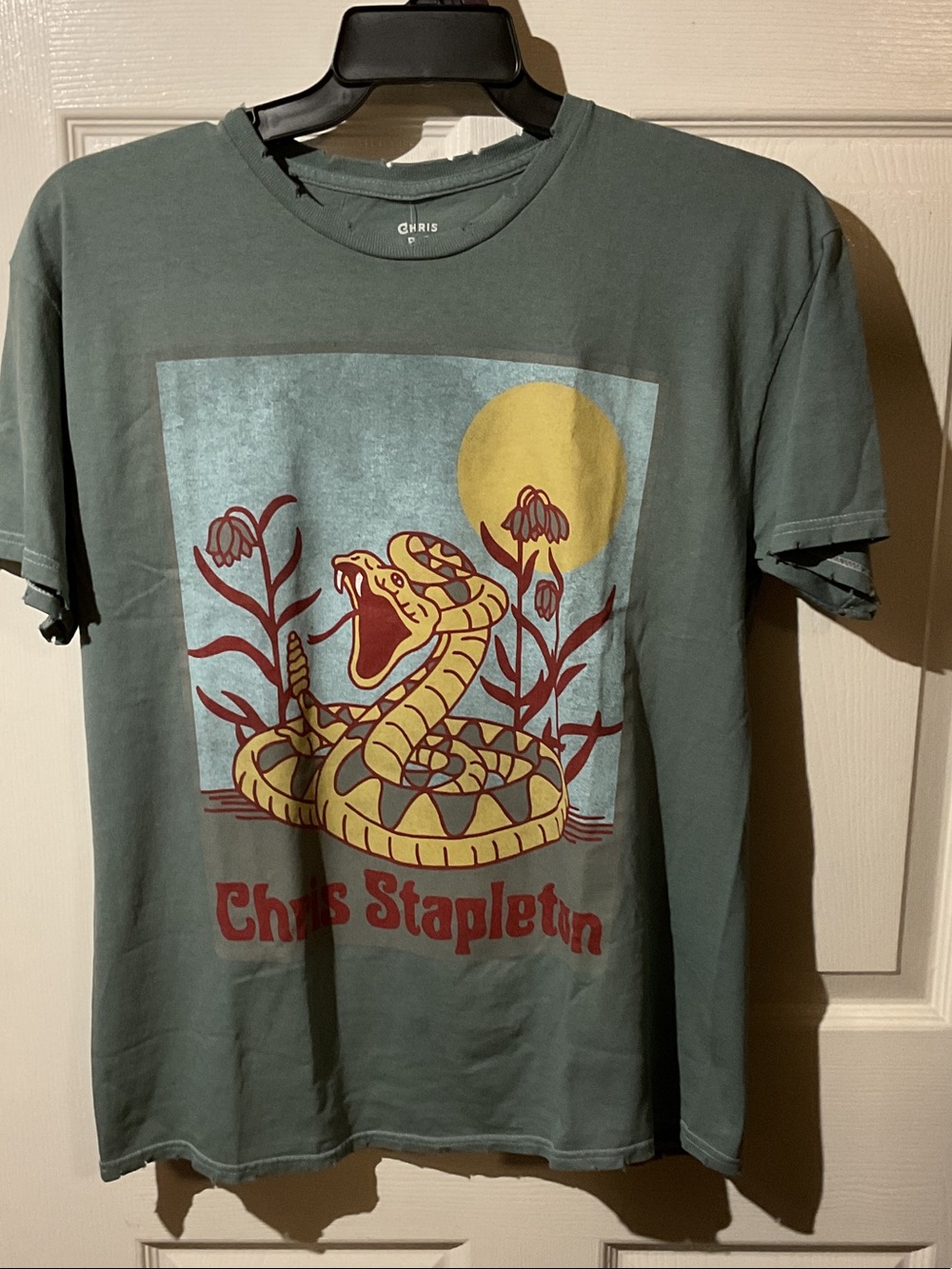 Chris Stapleton Snake Graphic Tee - Green with Yellow Print